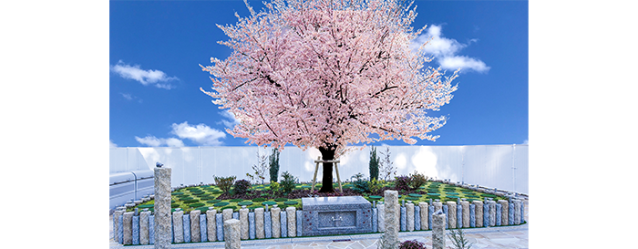 永代供養　樹木葬「桜」